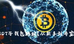 如何创建USDT子钱包地址？从新手到专家的全面指