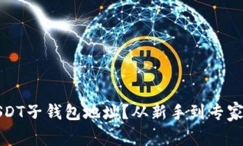 如何创建USDT子钱包地址？从新手到专家的全面指南