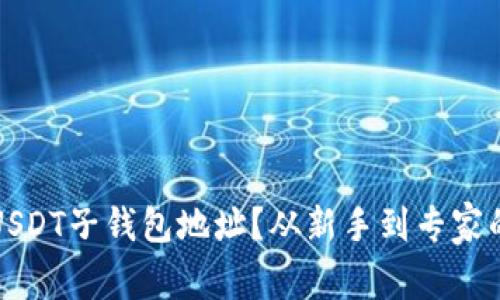 如何创建USDT子钱包地址？从新手到专家的全面指南