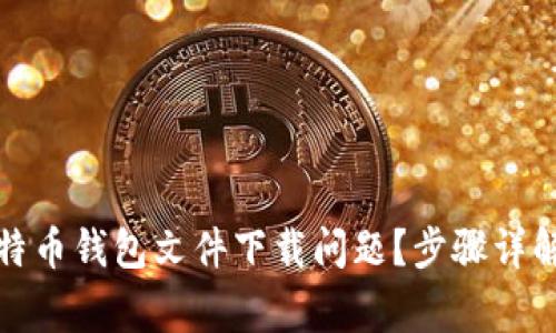 如何解决比特币钱包文件下载问题？步骤详解与常见困惑