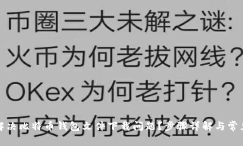 如何解决比特币钱包文件下载问题？步骤详解与常见困惑