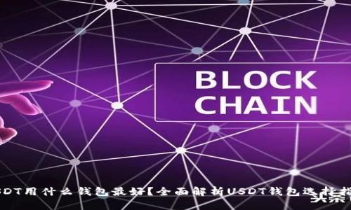 USDT用什么钱包最好？全面解析USDT钱包选择指南