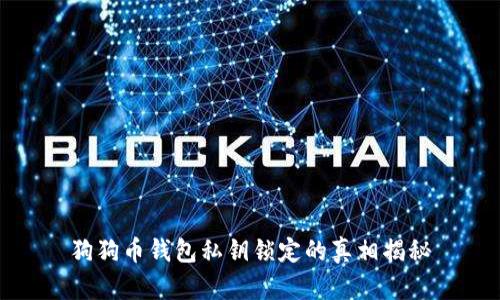 狗狗币钱包私钥锁定的真相揭秘