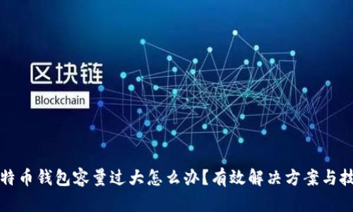 比特币钱包容量过大怎么办？有效解决方案与技巧