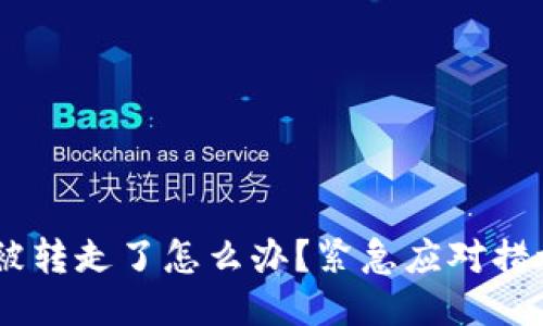 Tokenim 钱被转走了怎么办？紧急应对措施与预防策略