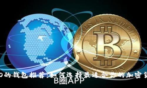 支持LEO的钱包推荐：如何选择最适合你的加密货币钱包