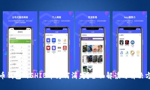 火币钱包的SHIB币为何消失？全面解读与解决方案