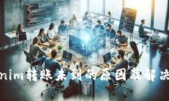 Tokenim转账未到的原因及解决方案