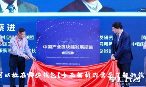 SHIB可以放在哪些钱包？全面解析你需要了解的钱包选择