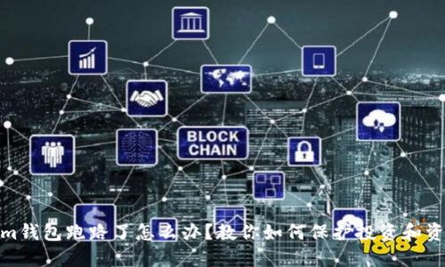 Tokenim钱包跑路了怎么办？教你如何保护投资和资产安全