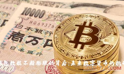 比特币钱包数据不断膨胀的背后：未来数字货币的挑战与机遇