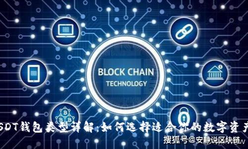 2023年USDT钱包类型详解：如何选择适合你的数字资产管理工具