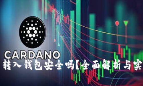 比特币转入钱包安全吗？全面解析与实用建议