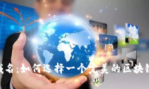 Tokenim域名：如何选择一个完美的区块链项目域名
