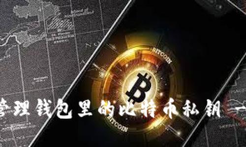 如何安全管理钱包里的比特币私钥 - 全面指南