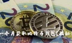 如何仅用20美元一个月获取比特币钱包？揭秘低成