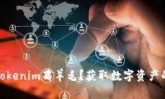 如何通过Tokenim薅羊毛？获取数字资产的神奇机会