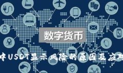 钱包中USDT显示风险的原因及应对措施
