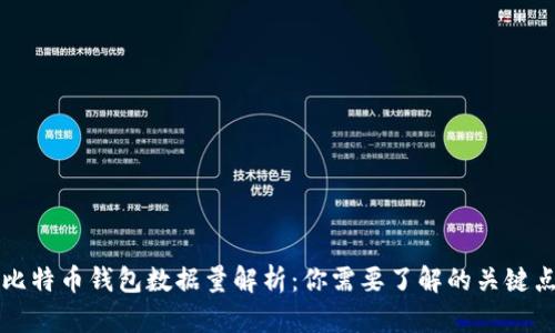 比特币钱包数据量解析：你需要了解的关键点