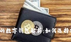 拥有狗狗币最多的数字钱包解析：如何选择安全