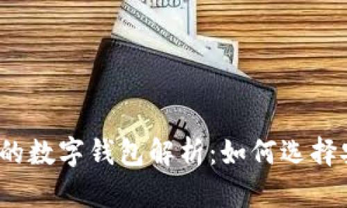 拥有狗狗币最多的数字钱包解析：如何选择安全高效的钱包？