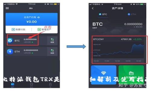 比特派钱包TRX是什么？详细解析及使用指南
