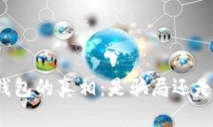 揭开狗狗币钱包的真相：是骗局还是安全的选择