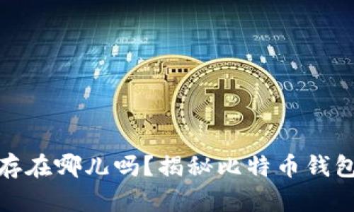 你知道比特币钱包存在哪儿吗？揭秘比特币钱包的种类与使用安全