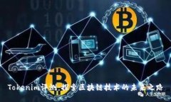 Tokenim评测：探索区块链技术的未来之路