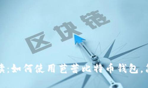 全面解读：如何使用芭蕾比特币钱包，简易指南