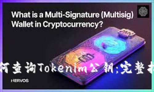如何查询Tokenim公钥：完整指南