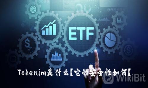 Tokenim是什么？它的安全性如何？