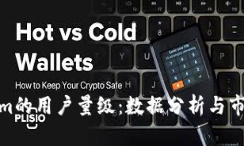 Tokenim的用户量级：数据分析与市场趋势