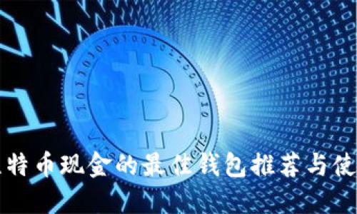 支持比特币现金的最佳钱包推荐与使用指南