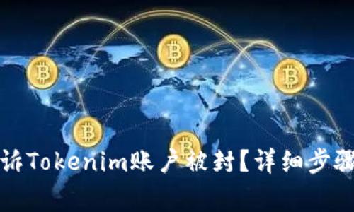 如何成功申诉Tokenim账户被封？详细步骤与注意事项