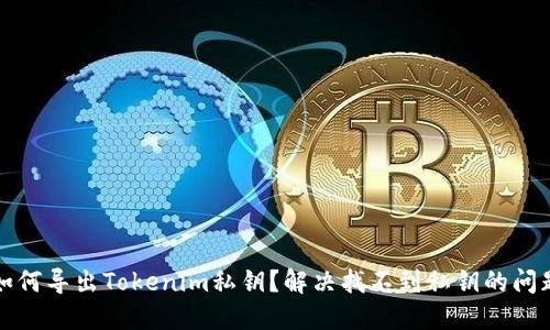 如何导出Tokenim私钥？解决找不到私钥的问题