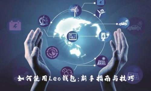 如何使用Leo钱包：新手指南与技巧