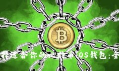如何选择适合你的比特币iOS钱包：全面指南