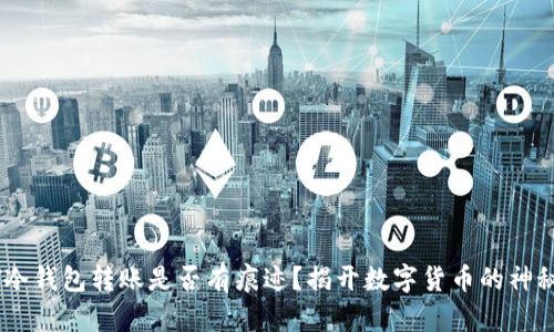 USDT冷钱包转账是否有痕迹？揭开数字货币的神秘面纱