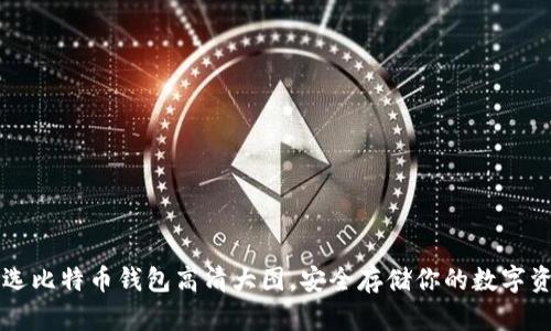 精选比特币钱包高清大图，安全存储你的数字资产
