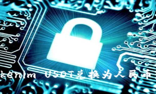 如何将Tokenim USDT兑换为人民币：完整指南