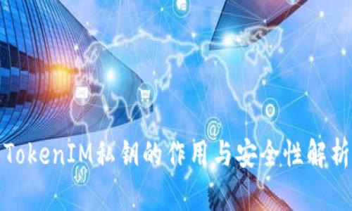TokenIM私钥的作用与安全性解析