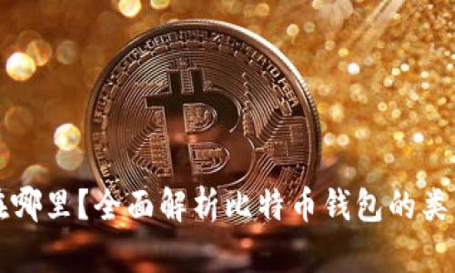 比特币钱包在哪里？全面解析比特币钱包的类型和选择指南