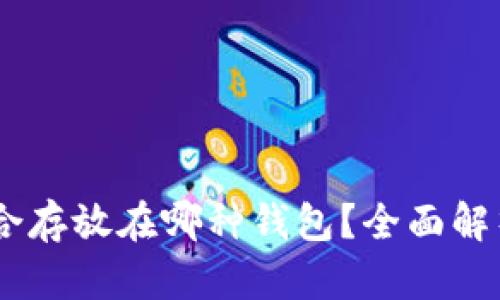 USDT适合存放在哪种钱包？全面解析与建议