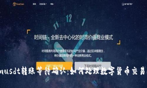 Tokenimusdt转账等待确认：如何处理数字货币交易的延迟？