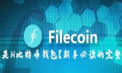 什么是H比特币钱包？新手必读的完整指南