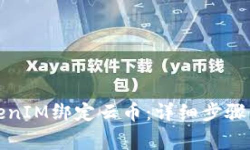 如何将TokenIM绑定云币：详细步骤与注意事项