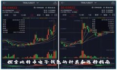 探索比特币电子钱包的种类和选择指南