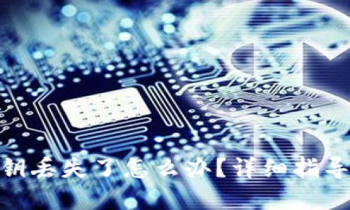 TokenIM私钥丢失了怎么办？详细指导与解决方案