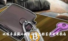 比特币在国内的热门钱包推荐与使用指南